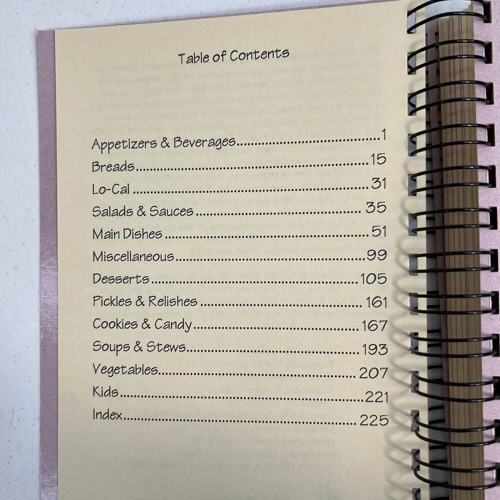 Vtg‎ Centennial Sampler Cookbook 1896-1996 Fairview OK United Methodist Church